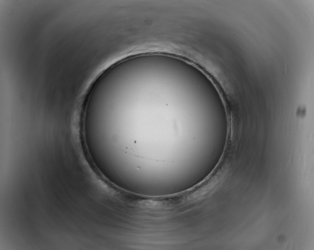 X0000103301500200808291353