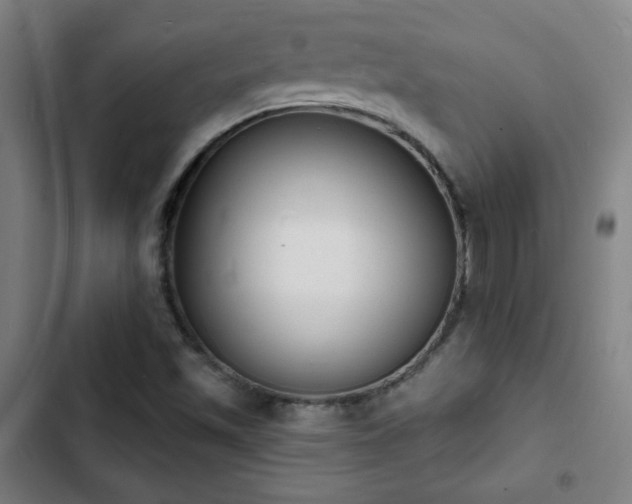 X0000103301501200808291353