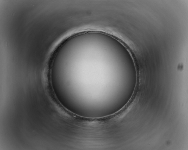 X0000103301502200808291353