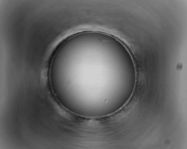 X0000103301503200808291353