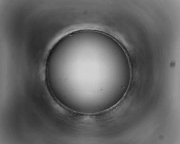 X0000103301504200808291353