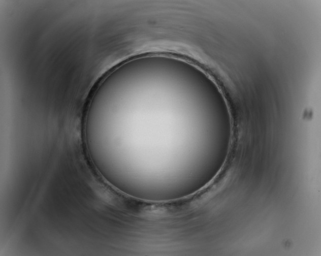 X0000103301505200808291353