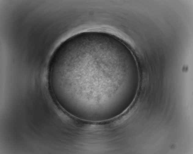 X0000103301506200808291353