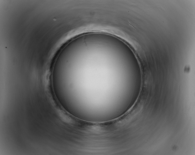 X0000103301507200808291353