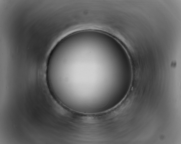 X0000103301508200808291353