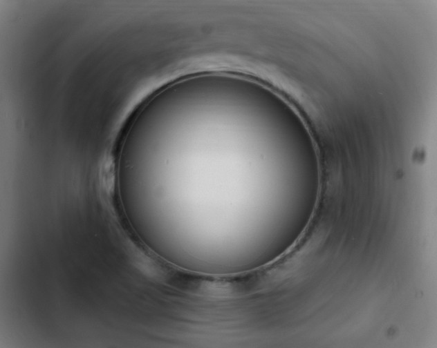 X0000103301509200808291353