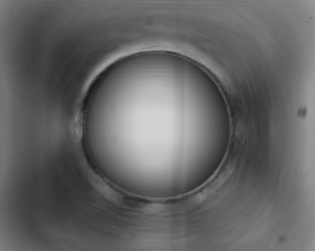 X0000103301510200808291353