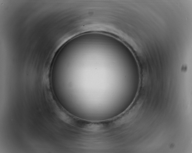 X0000103301513200808291353