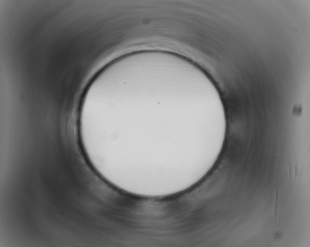 X0000103301514200808291353
