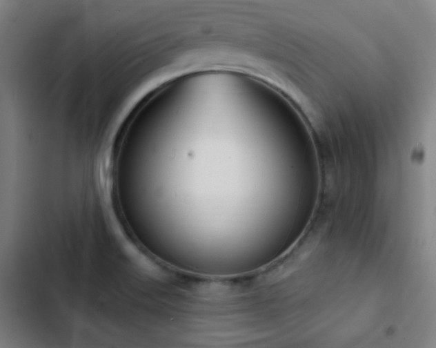 X0000103301515200808291353