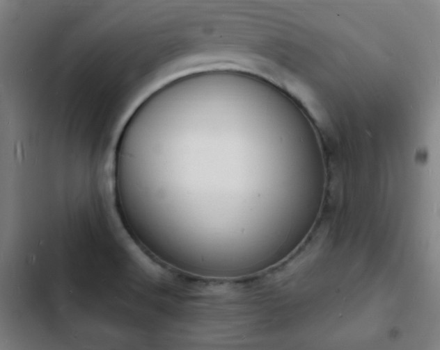 X0000103301516200808291353