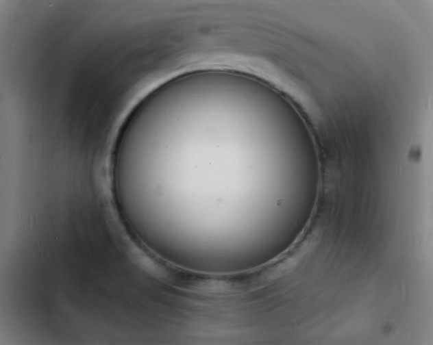 X0000103301517200808291353