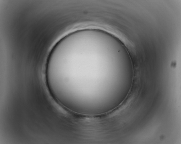 X0000103301518200808291353