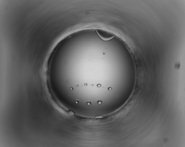X0000103301519200808291353