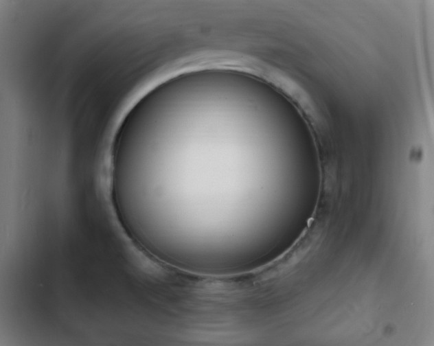 X0000103301520200808291353