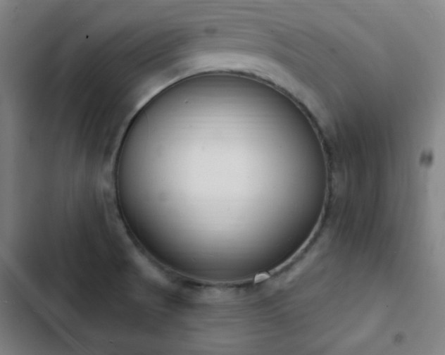X0000103301521200808291353