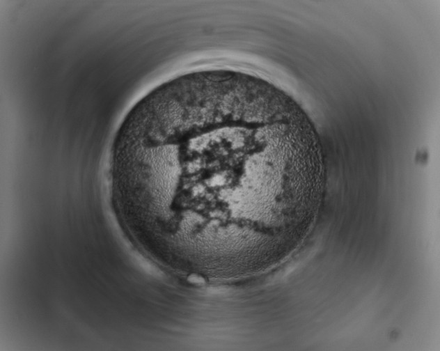 X0000103301522200808291353