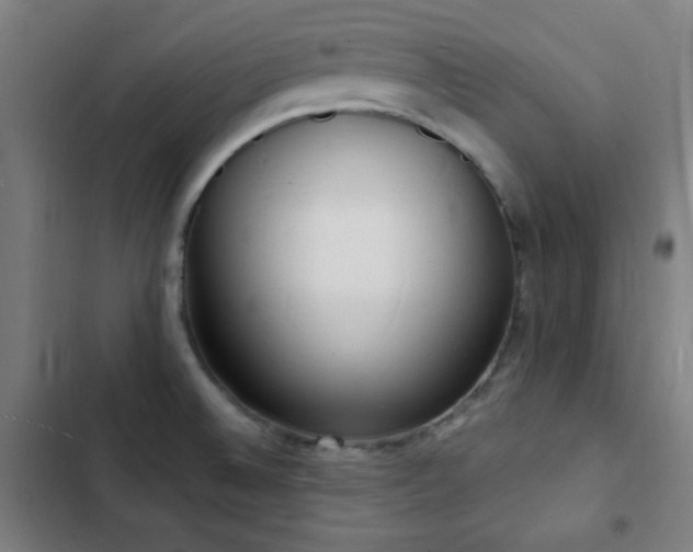 X0000103301524200808291353