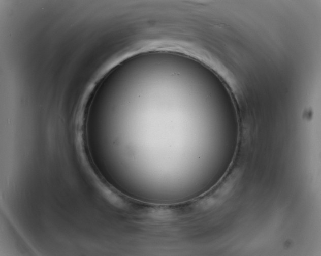 X0000103301525200808291353