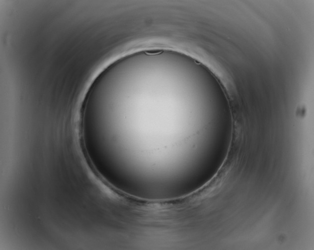 X0000103301527200808291353