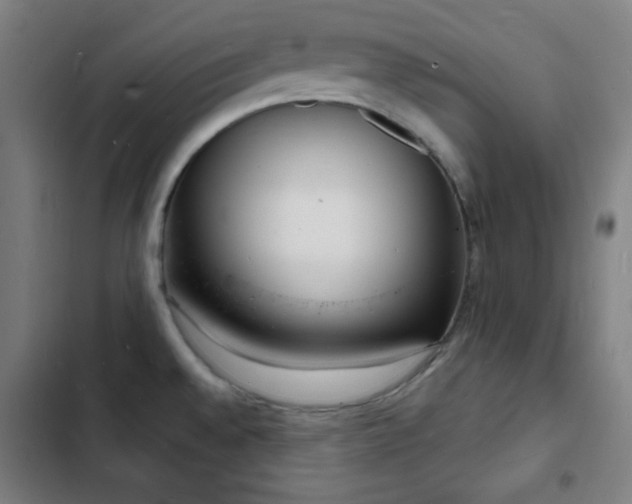 X0000103301528200808291353