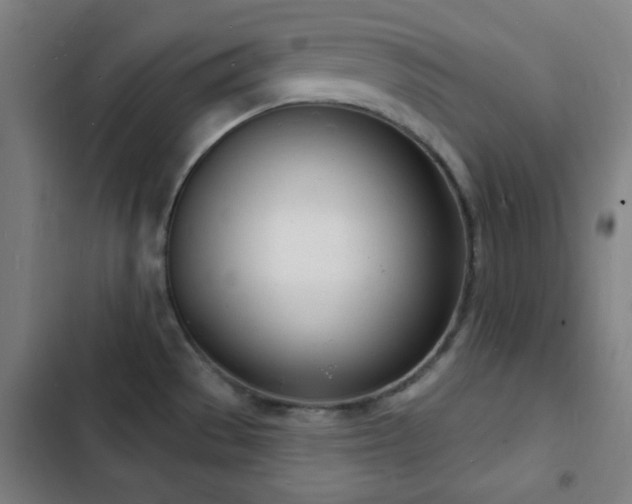 X0000103301529200808291353