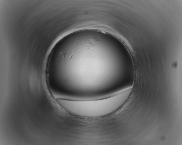 X0000103301530200808291353