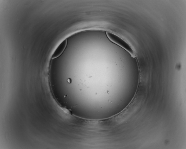 X0000103301532200808291353