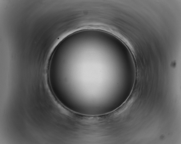 X0000103301533200808291354