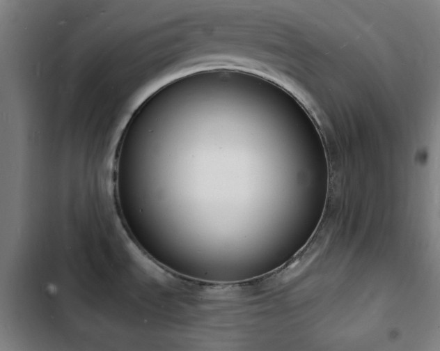X0000103301535200808291354