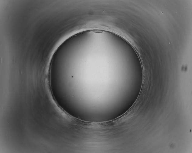 X0000103301536200808291354