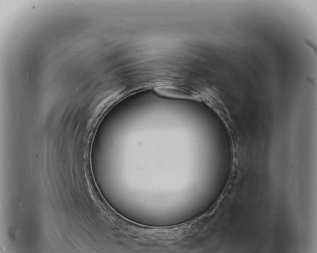 X0000103300001200809051533