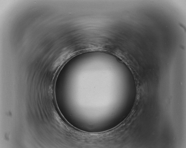 X0000103300002200809051533