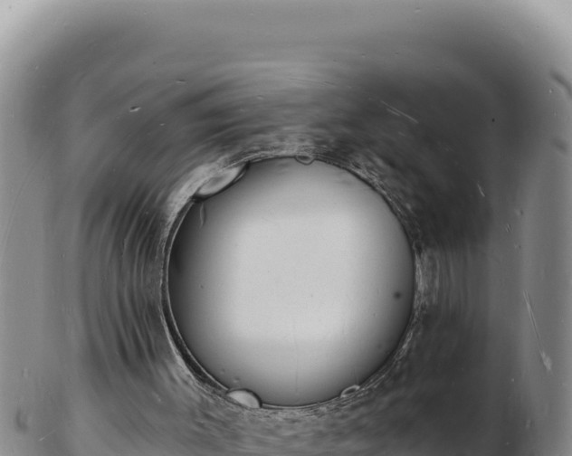 X0000103300003200809051533