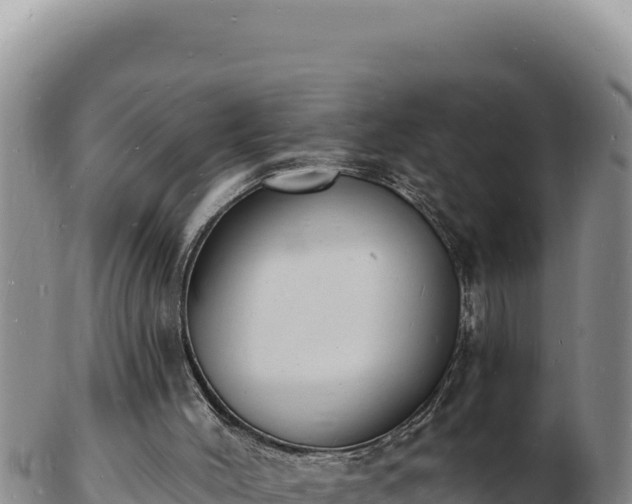 X0000103300004200809051533