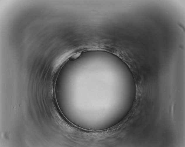 X0000103300005200809051533