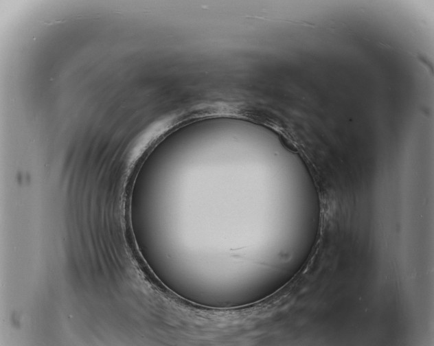 X0000103300006200809051533