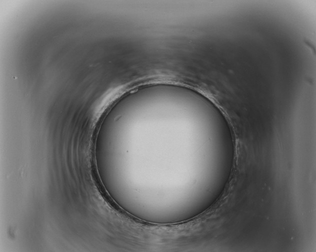 X0000103300007200809051533