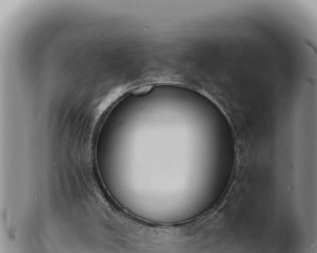 X0000103300008200809051533