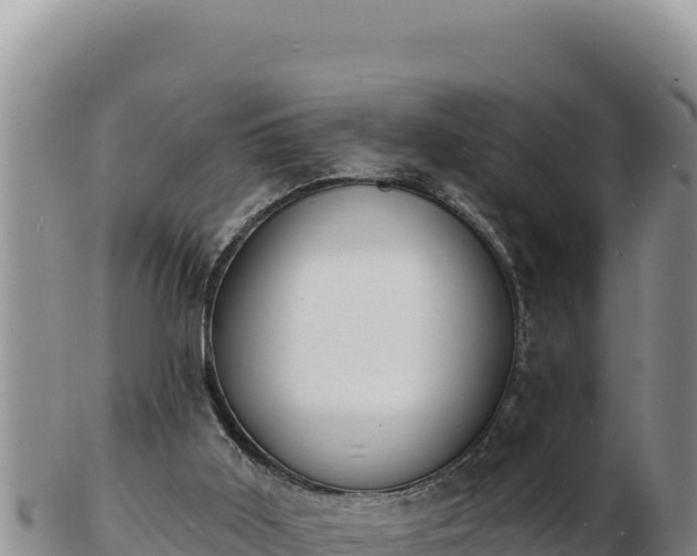 X0000103300011200809051533