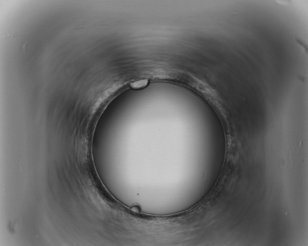 X0000103300012200809051533