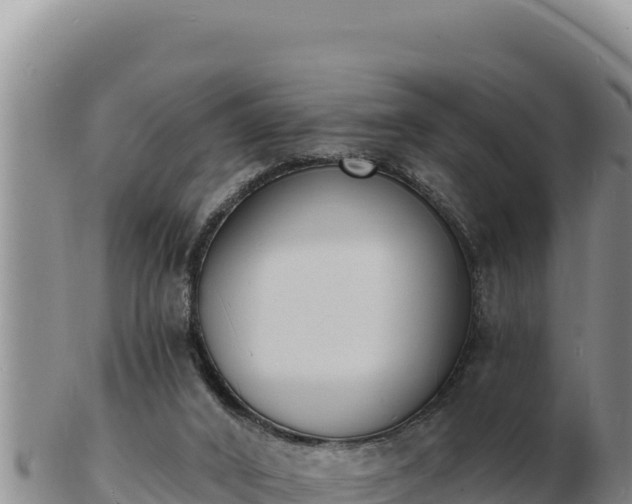 X0000103300016200809051533