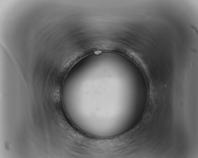 X0000103300017200809051533