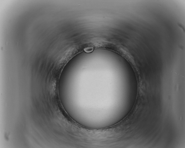 X0000103300018200809051533