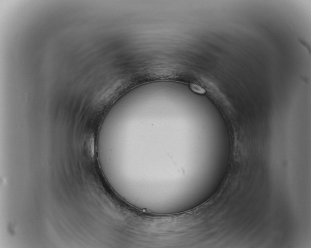 X0000103300021200809051533