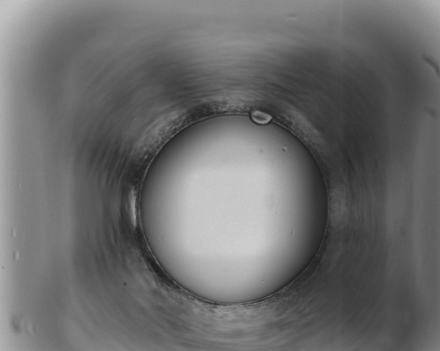 X0000103300022200809051533