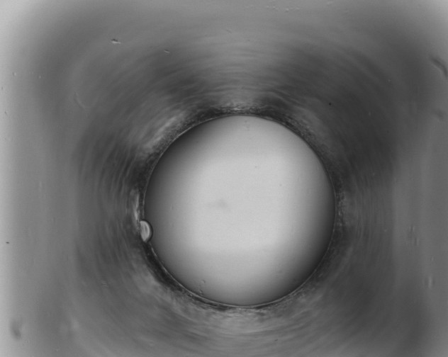 X0000103300024200809051533