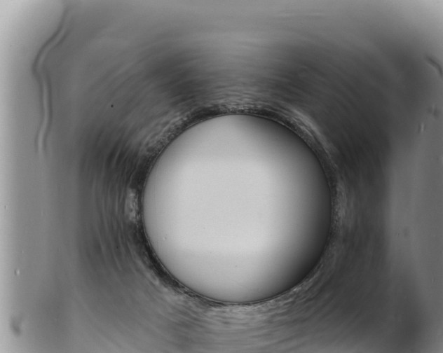 X0000103300025200809051533