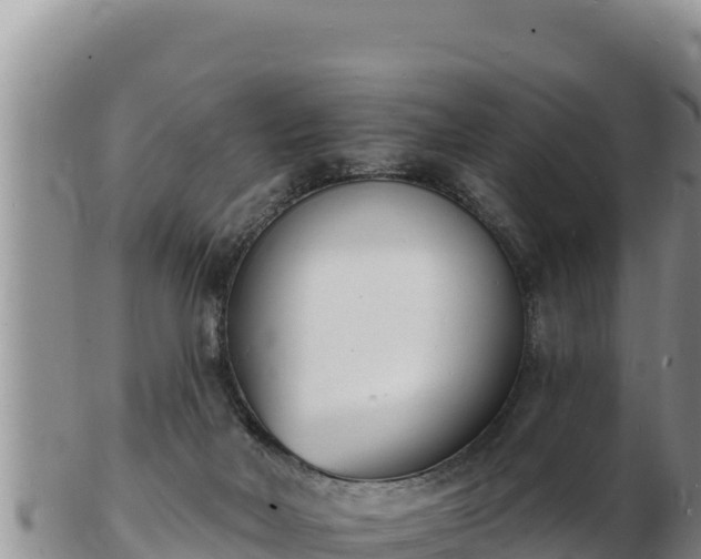 X0000103300026200809051533