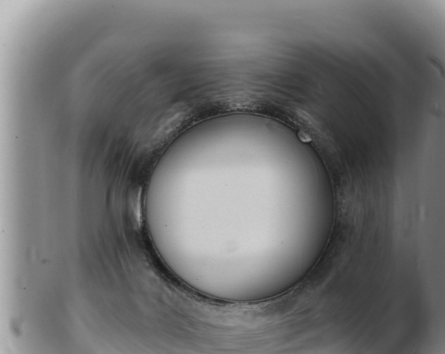 X0000103300028200809051533